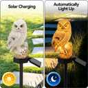 4PCS Solar Powered Garden Lights Owl Decor, Outdoor Yard Statue Pathway Lights for Outside Lawn Ornament Patio Decorative Stake Bird Lights for Landscaping Backyard