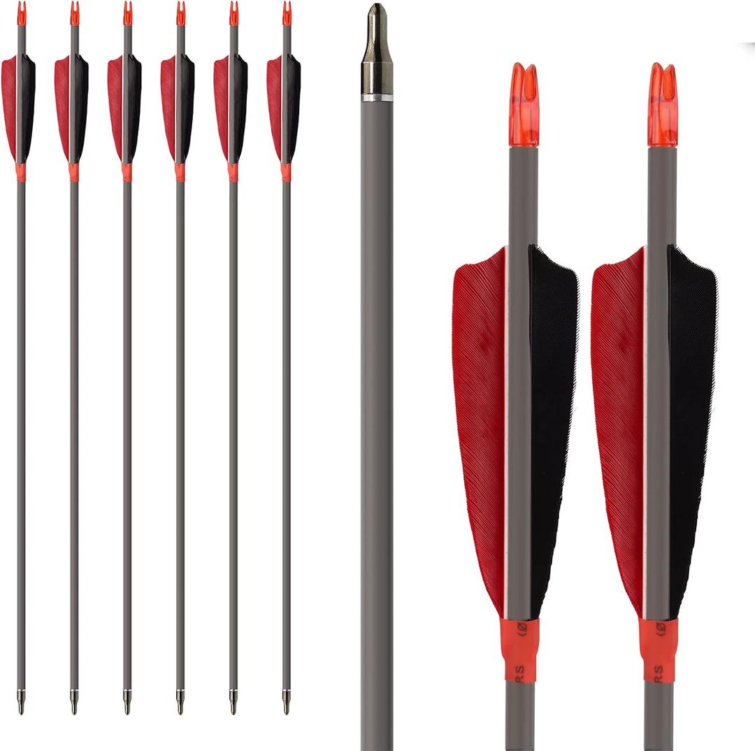 Archery Carbon Arrows, High Percentage Carbon-Fiber Arrow Spine 400 with 4" Real Feathers 100 Grain Points for Hunting/Targeting Compound/Recurve/Long Bow 6Pack (29inch)