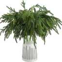 Jutom Christmas Norfolk Pine Branches, Artificial Norfolk Branch Faux Plants Greenery Stem Pine Picks for Christmas Vase DIY Crafts Centerpiece Garland Wreath Home Decor(30 Pcs,18 Inches)