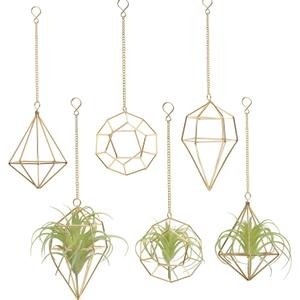 Gold Hanging Air Plants Holders Small Tillandsia Airplants Hangers 6 Pack Geometric Wire Himmeli Air Fern Display Planter with Chains Airferns Metal Hanging Holders