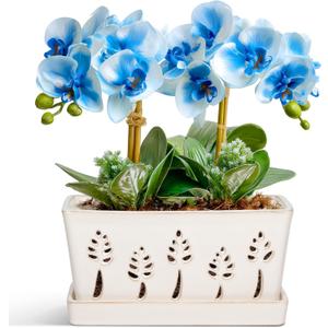BUYMAX 10 Inch Rectangle Ceramic Orchid Pots with Holes, Heavy Duty Handmade Ceramic Plant Pot with Drainage and Saucer, Accommodate 2 Orchids, Enhance Good Ventilation White