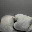 DWR Cloud-Like Luxury Feathers Down Pillows Set of 2, Soft & Fluffy Support with 100% Organic Cotton Cover, Ideal for Back & Stomach Sleepers  Not for Firm Pillow Lovers (20"x30") (Queen (Pack of 2), White)