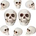 8 Pcs Skull Heads Halloween Decor Include Life Size Skeleton and Small Plastic Skulls with Moveable Chins for Halloween Party Props Table Graveyard Outdoor Home Decor Gift (4.9''&2.9'')