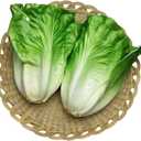 Lorigun Artificial Lettuce, Fake Vegetable, Artificial Vegetables for Decoration, Home Kitchen Decor, PU Vegetable 2 Pcs