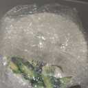 8 Inch Set of 4 Assorted Designs, Porcelain Plates With Plants Patterns,Ceramic Dinnerware Plates, Dishware With Black Rim for Sandwiches Salad Pasta, Microwave Oven Dishwasher Safe