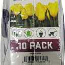 Company Women's Nitrile 10-Pack Garden Gloves