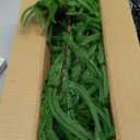 Artificial Pine Garland Soft PVC Realistic Pine Garland for Xmas Fireplace Door Decoration 270cm