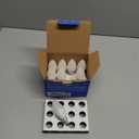 Energetic E12 LED Candelabra Light Bulbs 5.5W (60 Watt Equivalent), 5000K Daylight, 600LM Chandelier Light Bulbs, B11 Candle Bulbs for Ceiling Fan, CA 80 Recessed Can Light, Non-Dimmable, Pack of 12