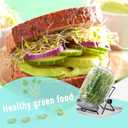 Seed Sprouting Kit, 2 Large 1000ML Wide Mouth Mason Jars with Sprout Lids, Drain Tray, Stainless Steel Stand, Cleaning Brush Sprouts Growing Kit for Sprouts, Bean, Broccoli