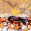 5 Pcs Fall Table Decor Rustic Wooden Letters Sign with Maple Leaf Tabletop Sign Autumn Decorations for Home Thanksgiving Farmhouse Harvest Autumn Holiday Decor