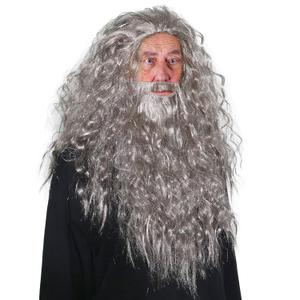 Skeleteen Grey Wig and Beard - Long Gray Wizard Wig and Beard Costume Accessory for Adults and Kids