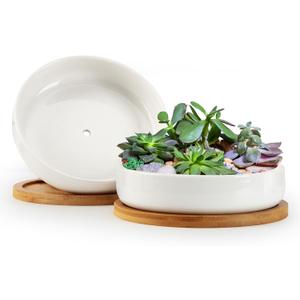 ZOUTOG Succulent Pots,6 Inch Succulent Planters with Drainage and Tray,White Ceramic Planters for Indoor Plants,Round Shallow Flower Plant Pots,Pack of 2 (6.14*1.57 inches)