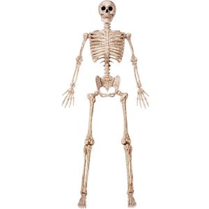 JOYIN 6.9 FT Halloween Posable Life Size Skeleton, Full Body Realistic Skeleton Bones with Movable Joints for Halloween Indoor Outdoor Party Decoration, Spooky Scene Prop, Haunted House Decor