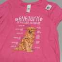 Funny Anatomy Golden Retriever Dog Lover Gift T-Shirt Unisex T-shirt (Pink) Kids Small