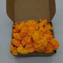 Hananona 101 Pcs Marigold Flower Heads Bulk, Silk Marigold with Stems Artificial Marigold Flowers for Diwali Home Decor DIY Marigolds Garland Craft Day of Dead Decorations