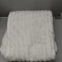 Bedsure Twin Blanket for Bed - GentleSoft Cozy Soft Blankets for Women, Cute Small Fleece Throws for Girls, Off White, 60x80 Inches (Twin (60" x 80"))