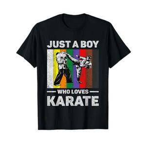 Just A Boy Who Loves Karate Vintage Taekwondo Karate T-Shirt, Medium