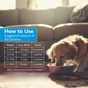 Replenish Dog Recovery Water Supplement  Pedialyte for Dogs Hydration Drink & Water Additive - Electrolytes for Dogs Hydration Supplement  10 Packets Count