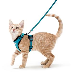 rabbitgoo Cat Harness and Leash for Walking, Escape Proof Soft Adjustable Vest Harnesses for Cats, Easy Control Breathable Reflective Strips Jacket, Teal, Small