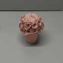 ANLUNOB 20 Flesh Pink Roses Forever Flowers Gift for Women Mother Day Flower Gift for Mom Birthday Valentines Day Gifts for Mom Women Grandma Sisters Daughter