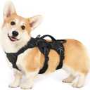 rabbitgoo Escape Proof Dog Harness, Soft Padded Full Body Pet Harness, Reflective Adjustable No Pull Vest with Lift Handle and Leash Clip for Large Dogs Walking Hiking Training, S, Black (Small (Pack of 1))