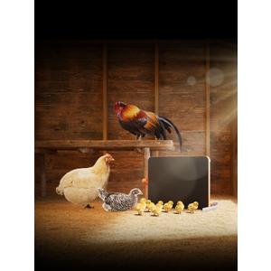 ChickCozy Smart Coop Heater & Chick Brooder ChickCozy Smart Coop Heater & Chick Brooder