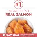 Purina ONE Indoor Advantage Weight Control Cat Food, Salmon, 16 lb Bag (EXP 12/01/27)