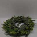 Seasons 22 inch Eucalyptus Wreath for Front Door, Artificial Spring & Summer Wreath with Greenery Leaf for Farmhouse, Wall, Window or Wedding Home Decor (Green)