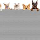 XXXXL Largest Pet Food Mat, 51.2"x25.6"(130cmx65cm) Silicone Dog Mats for Food and Water, Nonslip Pet Feeding Mats for Floors,Dog Cat Bowl Mat with Raised Edges, Light Gray