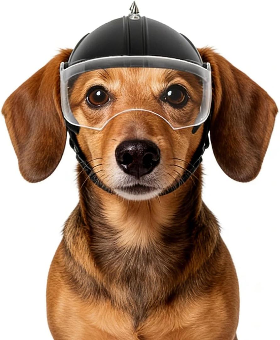 Namsan Dog Helmets for Small Dogs, Dog Helmet with Clear Lens Goggles, Doggie Helmets Hat with Ear Holes, Bike Doggie Helmet for Small to Medium Dogs, Adjustable, Top Spikes, Black (Flip-Up Visor+Rivets)