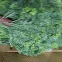 24.5 Inch Set of 2 Topiary Cedar Trees Artificial Outdoor