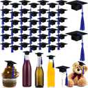 Qunclay 60 Pieces Mini Graduation Cap Hats Plastic Grad Cake Supplies Cover Toppers for Graduation Party Decorations(Black Blue)