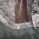 Alex Evenings Women's Long Embellished Neck Mother of the Bride Dress with Elbow Puff Sleeve (Ice Sage, Size 14)
