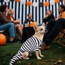 Dog Halloween Costume Sandworm Costume for Dogs Pet Halloween Snake Cosplay Black White Stripes Dog Funny Costumes for Party Medium Large Small Dogs(Medium)