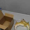 Adorox Gold Royal King Plastic Crown Prince Costume Accessory Adult/K Kid (1)
