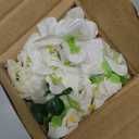 3 Pcs Artificial Flowers Outdoors UV Resistant Fake Flowers Bulk Spring Summer White Silk Morning Glory Flowers Faux Greenery Bushes Floral Arrangement for Indoor Decor Garden Porch Planter