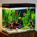 Coospider 20 Gallon Glass Fish Tank, Aquarium Starter Kit, Simple Self-Cleaning Aquarium with 3-Color LED Lights, with Quiet Filter Pump, with Temperature Monitoring for Fish, Shrimp, Kids Gift Ideas