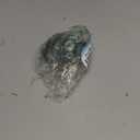 Ricrrover Luggage Suitcase Wheels Replacement Kit 75x24mm/2.95"x0.94" w/ABEC 608zz Inline Outdoor Skate Replacement Wheels, Set of (2) Wheels (OD:75 W:24 ID:6 Axles:35&40mm)