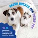 Dental Fresh Plaque & Tartar Control Water Additive for Dogs & Cats  Helps Support Clean Teeth, Healthy Gums & Fresh Breath  Advanced Formula Oral Care, 17 fl oz