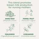 Traditional Medicinals Organic, Mother's Milk Tea - Supports Breastfeeding & Lactation with Fennel and Fenugreek - Kosher, Non-GMO, Caffeine-Free, Compostable - 48 Tea Bags (EXP 09/01/28)