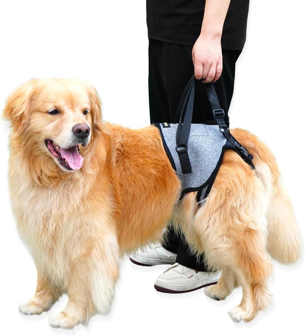 Upgraded Dog Lift Harness for Large Dogs Support Up to 110lb with Handles Locks - Quick-Release Adjustable Mobility Support Harness for Arthritis Surgery Recovery Disabled Elderly Dogs (L)