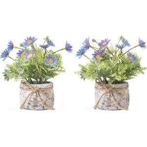 Daisy Artificial Flowers in Cement Vases 2Pcs,Daisies Faux Flowers Farmhouse Home Coffee Table Bookshelf Office Desk Decorations Kitchen Dining Room Fake Plants Indoor(Blue) Daisy Artificial Flowers in Cement Vases 2Pcs,Daisies Faux Flowers Farmhouse Home Coffee Table Bookshelf Office Desk Decorations Kitchen Dining Room Fake Plants Indoor(Blue)