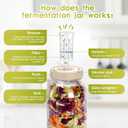 64oz Fermentation Jar, 2L Glass Fermenting Jar with Airlocks & Weights, Fermenting Kit for Sauerkraut, Pickling, Kombucha, Hot Sauce, Mead, Cider and More, Pack of 2