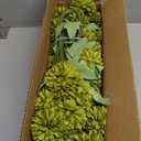 12Pcs Faux Flowers for Vase with Long Stem 23.6'' Green Chrysanthemum Flowers Artificial Spring Kiku Mums Silk Floral Arrangement for Easter Day Cemetery Home Kitchen Table Centerpiece Decor