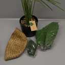 Der Rose Fake Palm Tree 28Inch Faux Plant Potted Tall Fake Plant with Hand-Woven Baskets Artificial Tree for Indoor Outdoor Home Office Bedroom Porch Balcony Decor