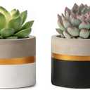 Mkono 3 Inch Mini Succulent Pots Concrete Planter Set, Modern Tiny Container for Indoor Plants, Christmas Home Office Decor Gifts for Plant Lovers (Plant NOT Included) (3.7 Inch Cement - Gold, Silver, Gray, White)
