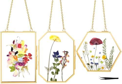 FOCHIER F 3 Pcs Pressed Flower Frames with Tweezers, Wall Hanging Double Glass Frames with Metal Chain for Pressed Dried Flowers Plants, Golden