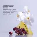 milk_shake icy blond shampoo award winning shampoo with black pigment to cool brassy tones and enhance platinum blonde hair ideal for maintaining icy, ash-toned color (10.1 Fl Oz (Pack of 1))