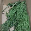 24Pcs Artificial Pine Branches Plastic Faux Greenery Pine Picks for Wreath Garland Craft DIY Party Christmas Decor (Green, 24Pcs)