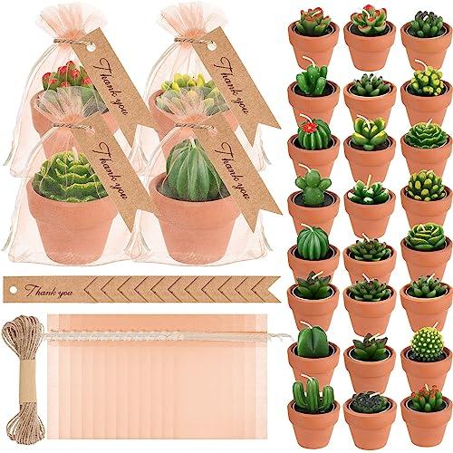 MTLEE 24 Pcs Succulent Tealight Candles - Bulk Baby Shower & Party Pack with Terracotta Pot, Organza Bag, Tags, Twine